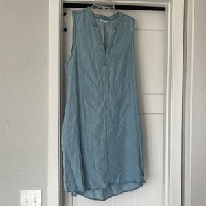 Time and Tru dress